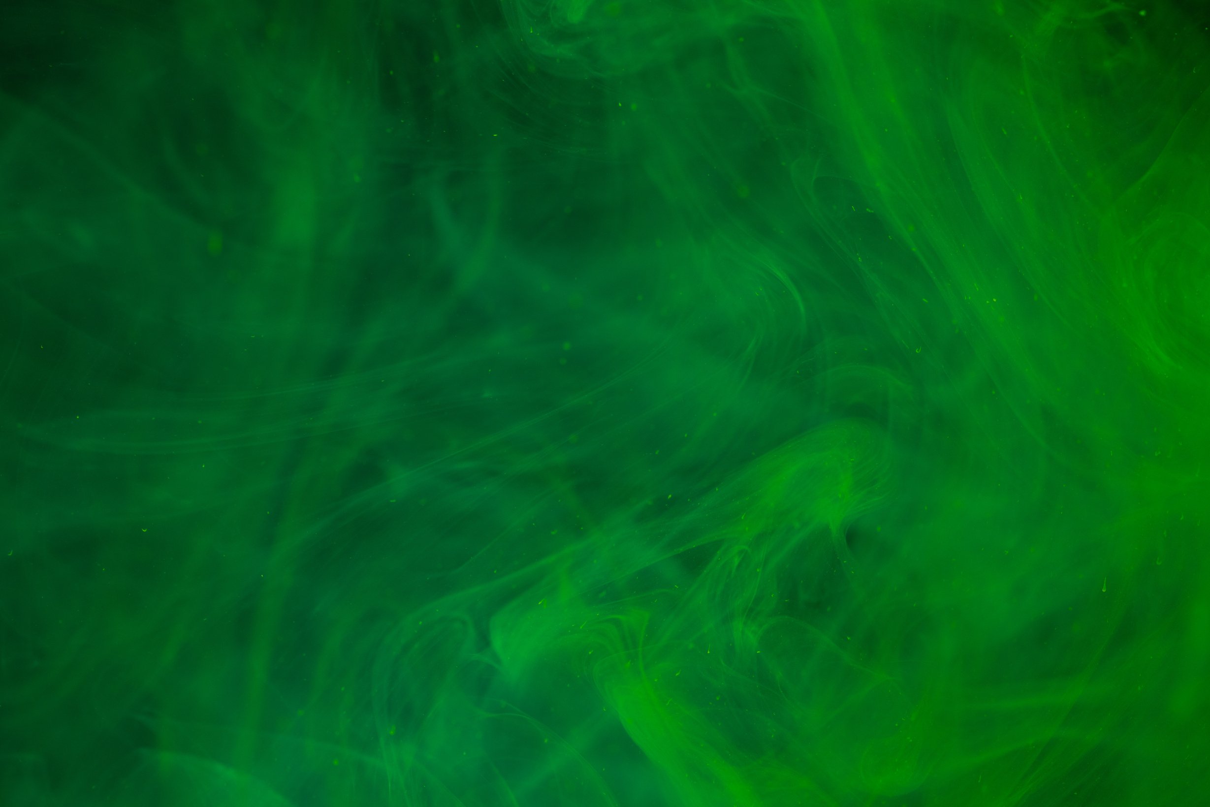 Green Smoke in Close Up Photography